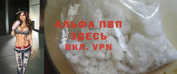 мяу мяу мука Дмитриев