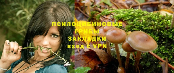прущая мука Елизово
