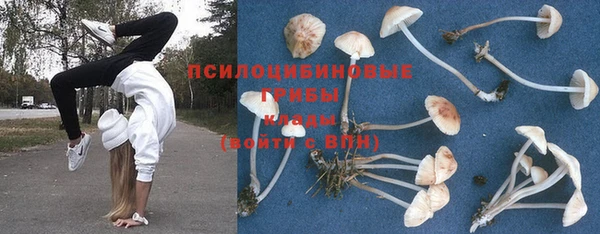 винт Елабуга