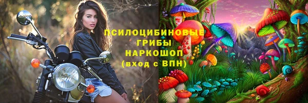 МДПВ Дмитров