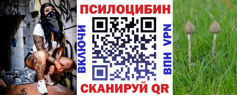 где найти   Зеленокумск  Галлюциногенные грибы прущие грибы 