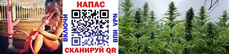 Канабис планчик  Зеленокумск 